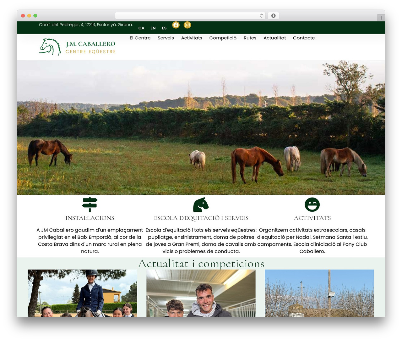 WordPress theme Hello Elementor - hipicajmcaballero.com