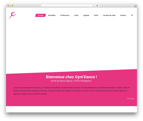 Cmsmasters content composer WordPress plugin - gymdance.fr