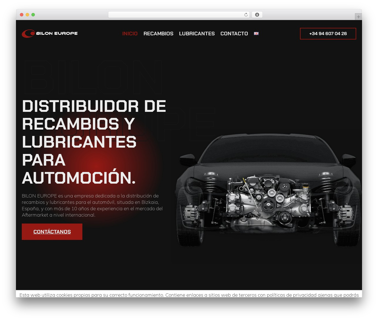 Hello Elementor theme WordPress - biloneurope.com