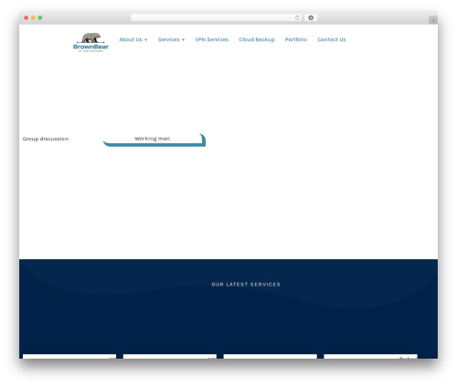 Omnivuscore WordPress plugin - brownbearit.com