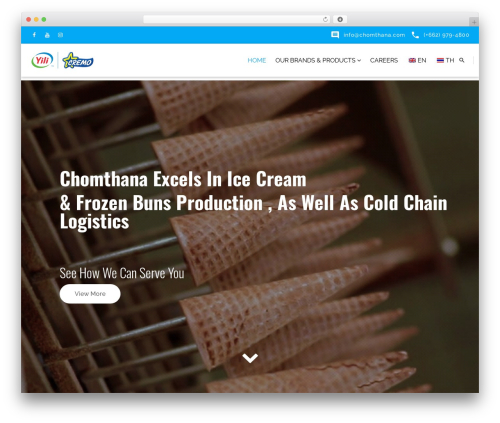 Tt plugin WordPress plugin - chomthana.com