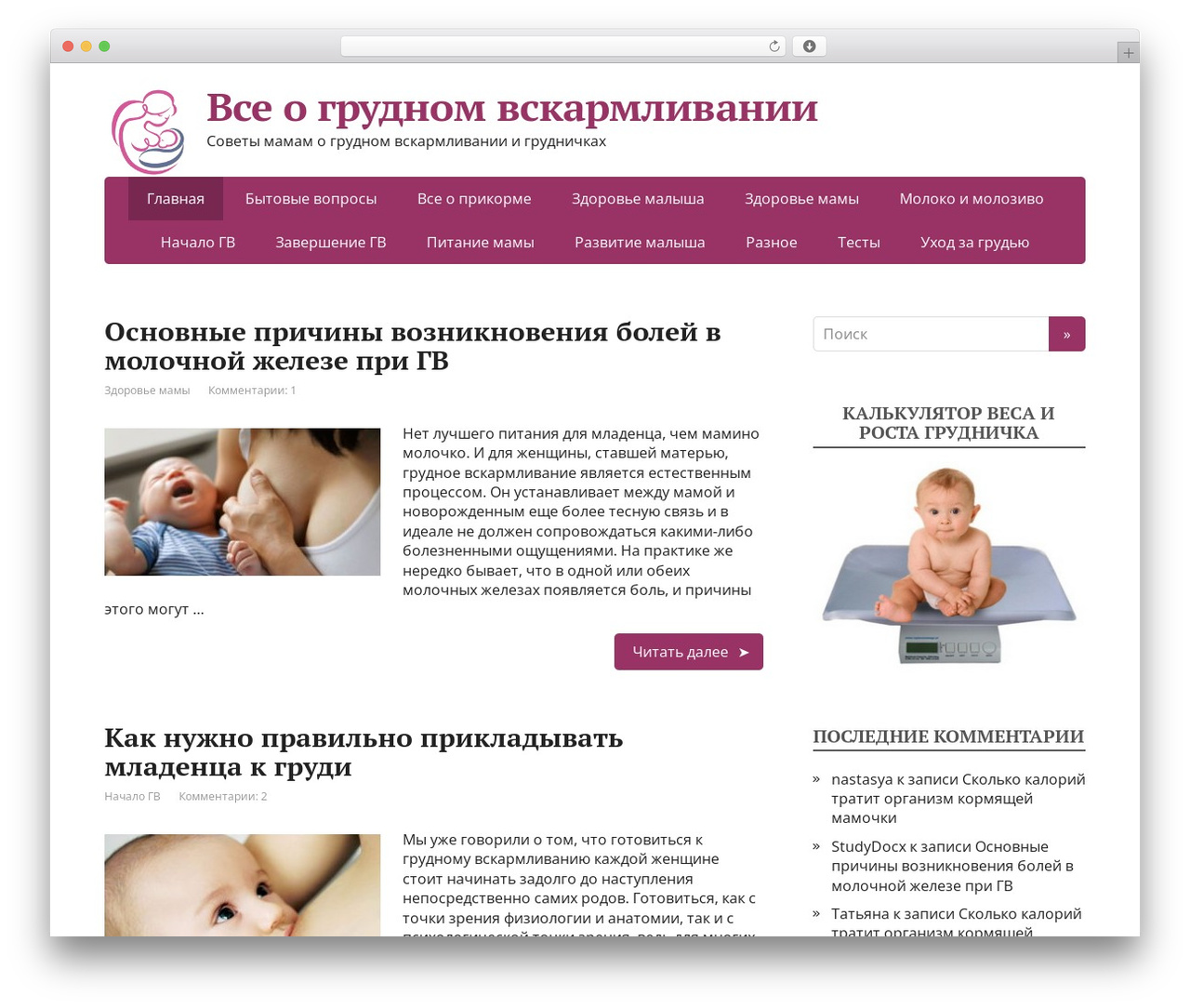WordPress theme BASIC Child - grudnichokk.ru