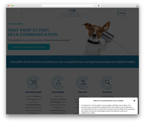 WordPress theme iGuru - capitecorpus.com