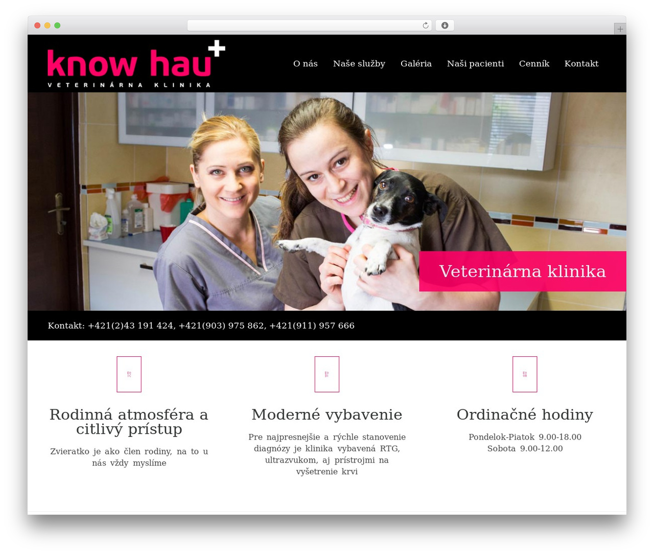 WordPress theme VETS - knowhau.sk WordPress theme VETS - knowhau.sk