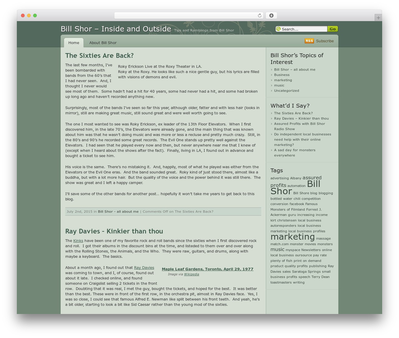 Devart WordPress theme - billshor.com