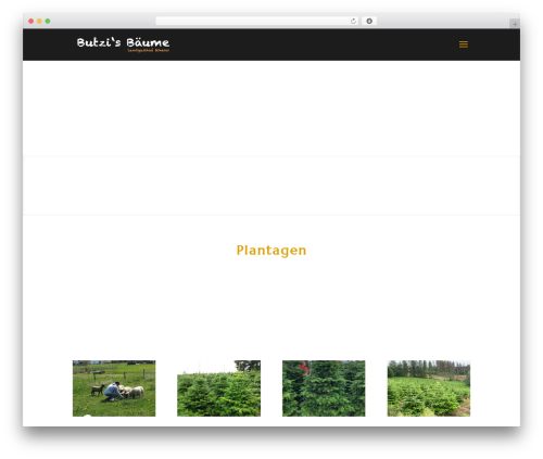 PB MailCrypt – AntiSpam Email Encryption (pb-mailcrypt-antispam-email-encryption) free WordPress plugin - butzis-baeume.de PB MailCrypt – AntiSpam Email Encryption (pb-mailcrypt-antispam-email-encryption) free WordPress plugin - butzis-baeume.de