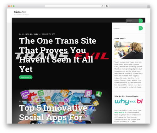 Advanced Recent Posts (advanced-recent-posts) free WordPress plugin - skokienet.org