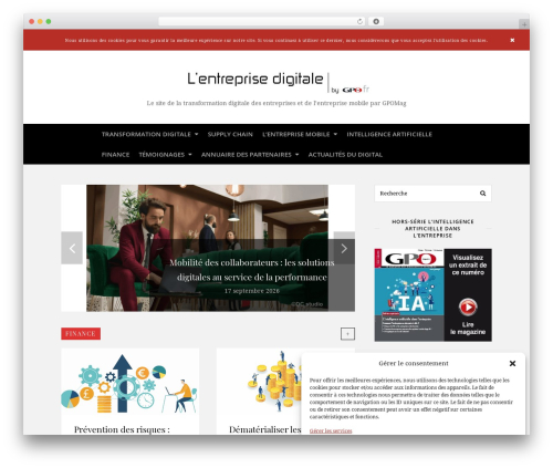 Chic premium WordPress theme - entreprisedigitale.info