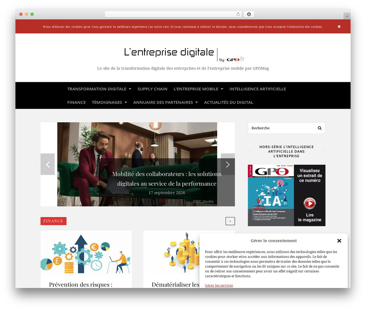 Chic premium WordPress theme - entreprisedigitale.info