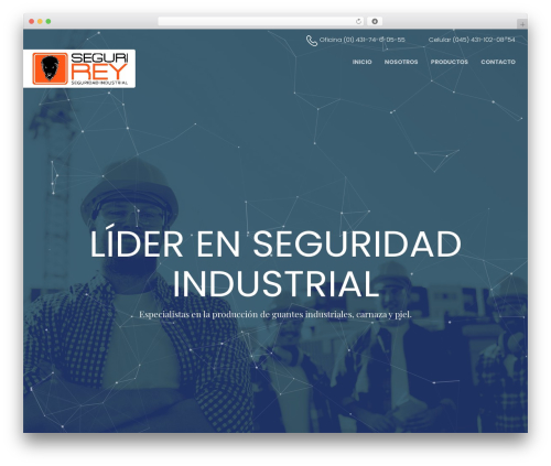 Predio top WordPress theme - segurirey.com