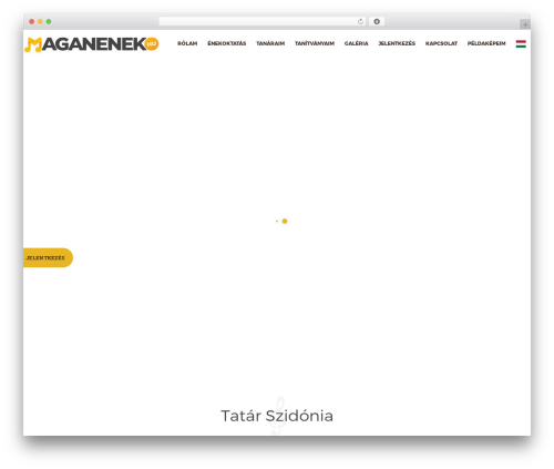 Rhythmo WP theme - maganenek.hu