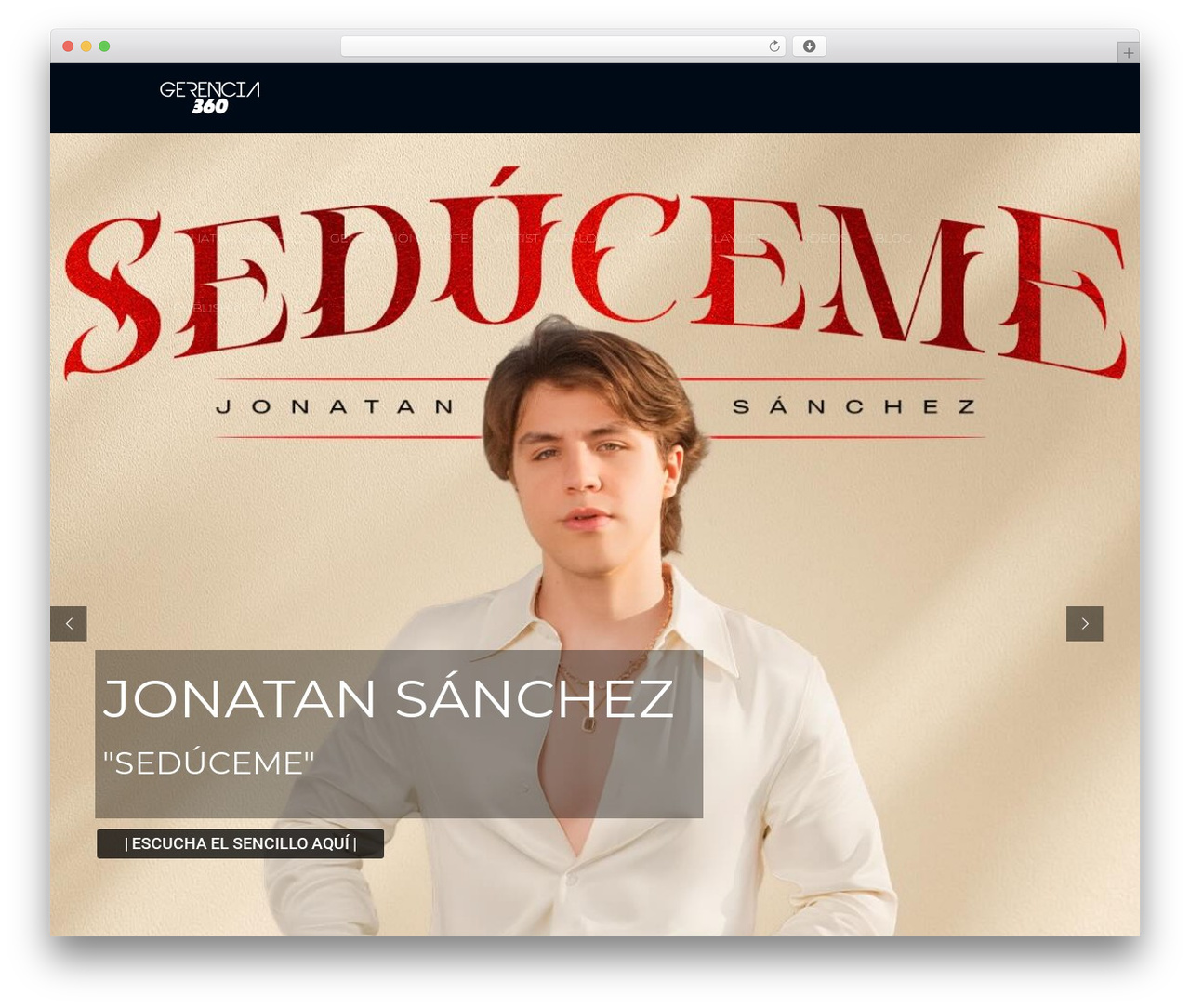 Shuffle WordPress theme - gerenciamusic360.com