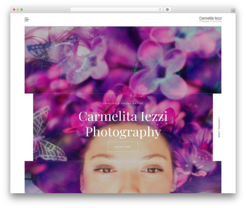 Snapster wallpapers WordPress theme - carmelitaiezzi.com