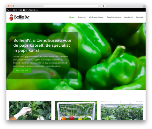 Theme001 WordPress theme - bolliebv.nl