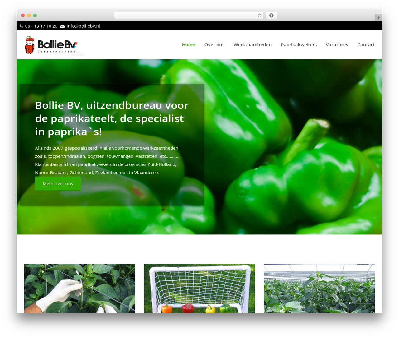 Theme001 Child WordPress theme - bolliebv.nl