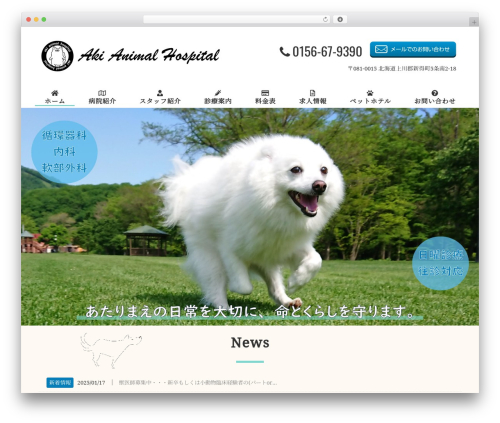 Morph extension system WordPress plugin - aki-animal.com
