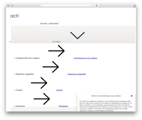 acticonseil WordPress theme design - acticonseil.com