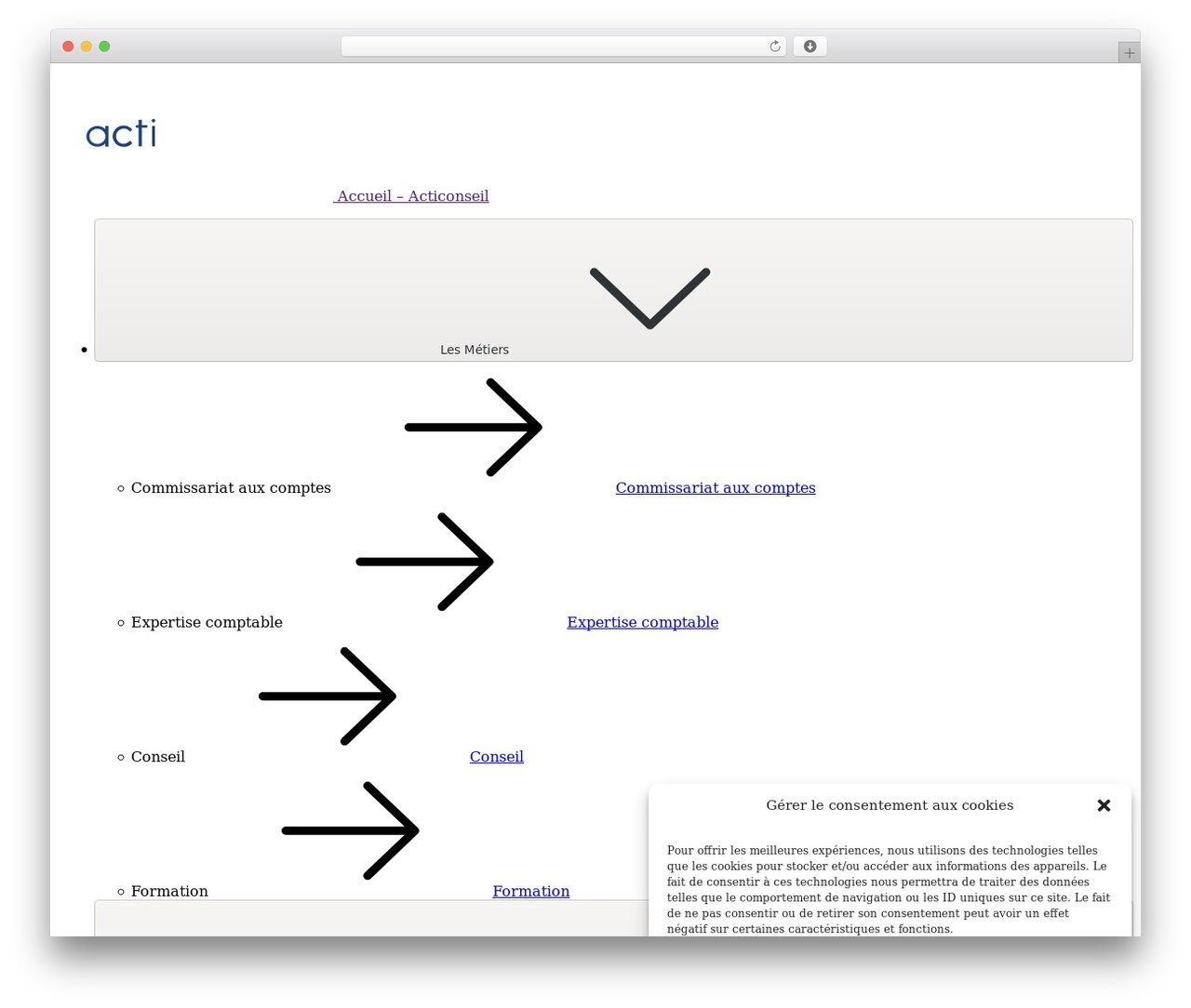 acticonseil WordPress theme design - acticonseil.com
