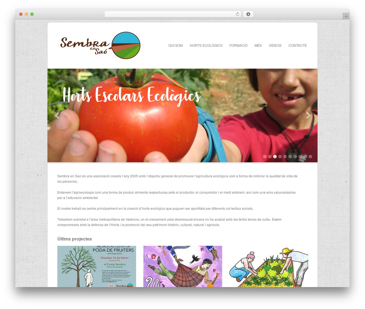 Default WordPress theme - sembraensao.org