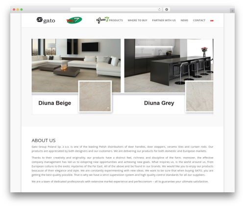 Divi WordPress theme - gatogroup.pl