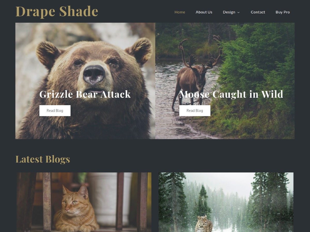 Drape Shade WordPress theme