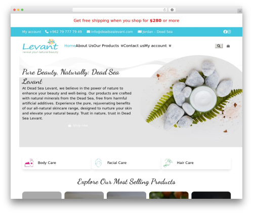 iCpanel. WordPress theme - deadsealevant.com