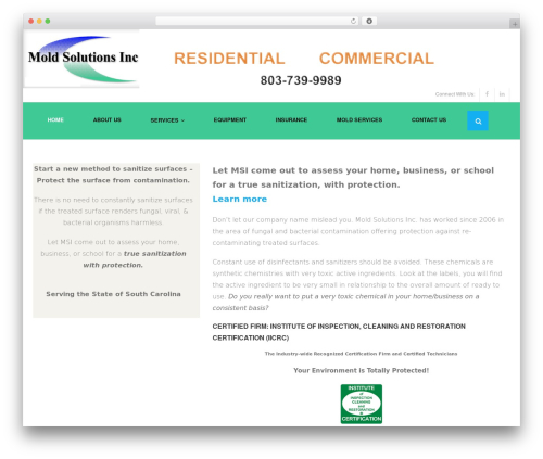 Shuttle top WordPress theme - moldsolutionsinc.net