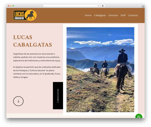 Mercado Pago payments for WooCommerce (woocommerce-mercadopago) free WordPress plugin - lucascabalgatas.com Mercado Pago payments for WooCommerce (woocommerce-mercadopago) free WordPress plugin - lucascabalgatas.com