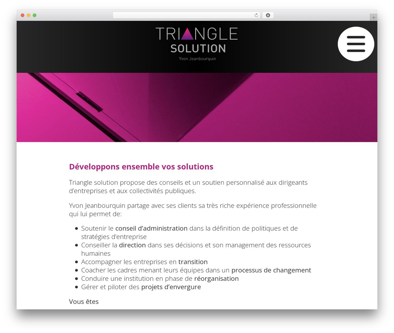 WordPress website theme Triangle Solution - triangle-solution.ch