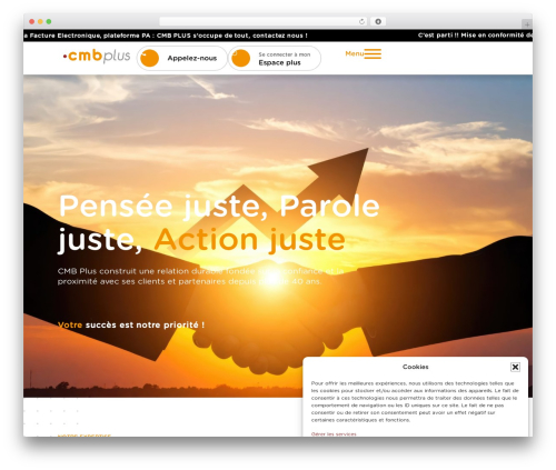 Hello Elementor top WordPress theme - cmbplus.fr