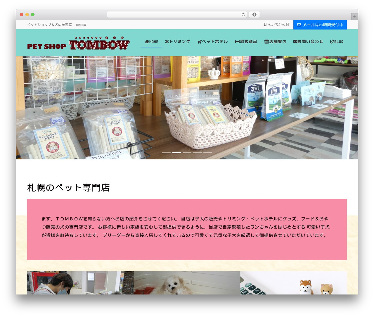 WordPress theme Lightning Pro - pet-tombow.com WordPress theme Lightning Pro - pet-tombow.com