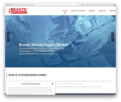 WordPress theme Bunte - bunte-steuerungen.de