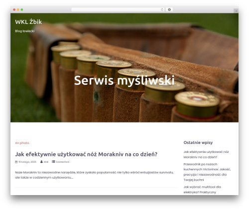 Bizworx WordPress blog theme - wkl-zbik.pl