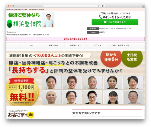 Selfull WordPress theme - yokohama-seitaiin.com