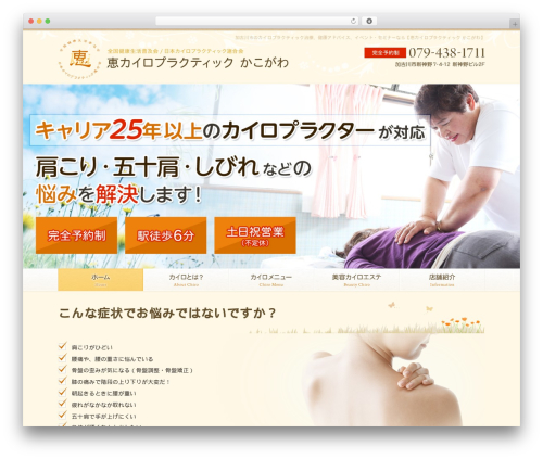 Themify Basic WordPress page theme - kei-chiropractic.com