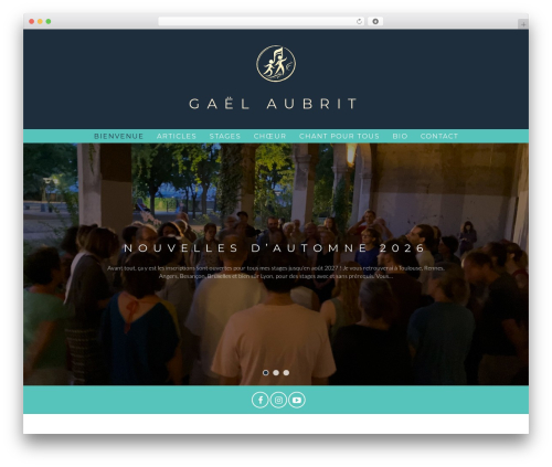 Smartcat modules WordPress plugin - gaelaubrit.com