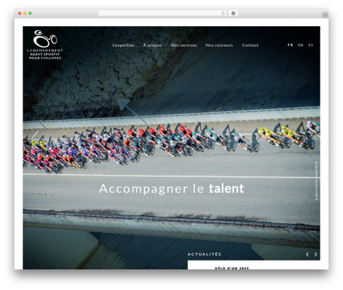 WP Base WordPress theme - lcmanagement.eu