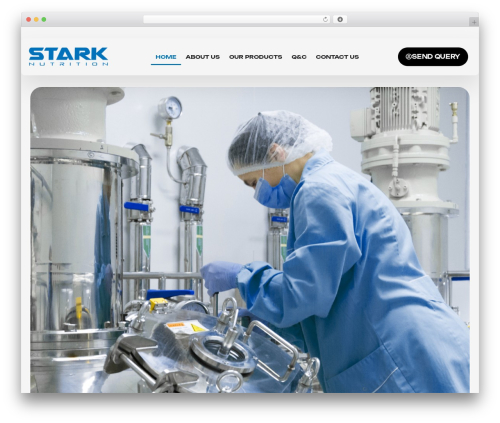 WP theme Hello Elementor - starknutrition.com