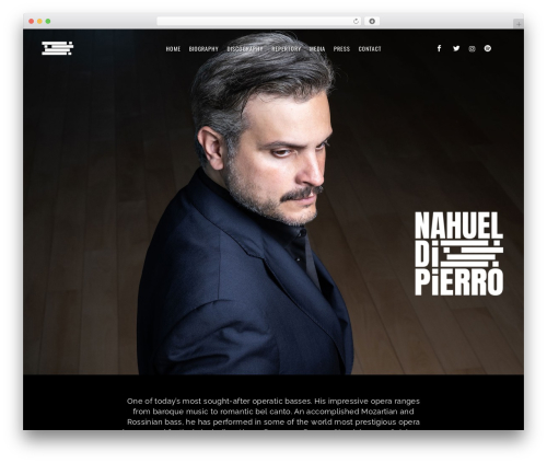 Qode music WordPress plugin - nahueldipierro.com