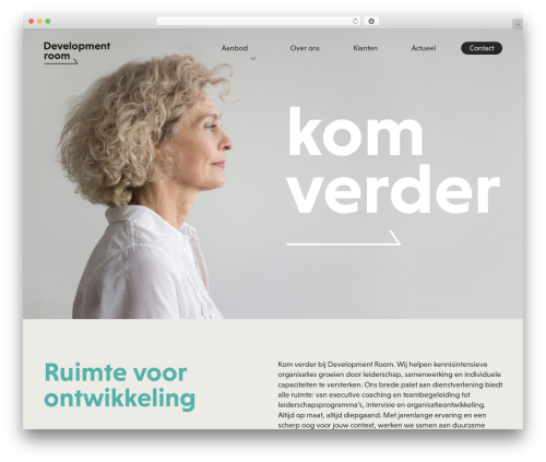 Development Room WordPress theme - developmentroom.nl