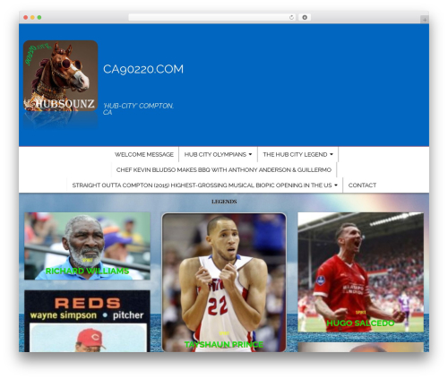 WordPress theme Simple Grid PRO - ca90220.com