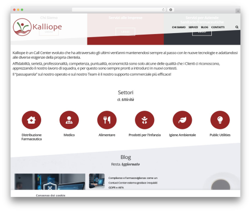 Dfd extensions WordPress plugin - kalliope.it