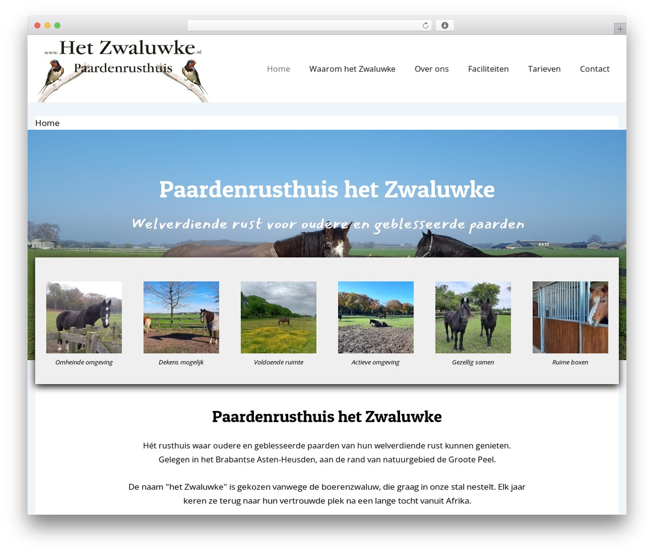 WordPress theme Responsive - hetzwaluwke.nl