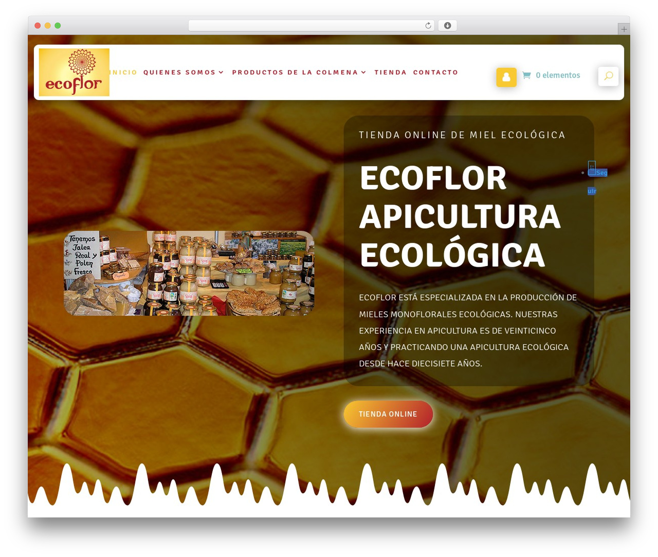 Divi WordPress theme - ecoflores.com