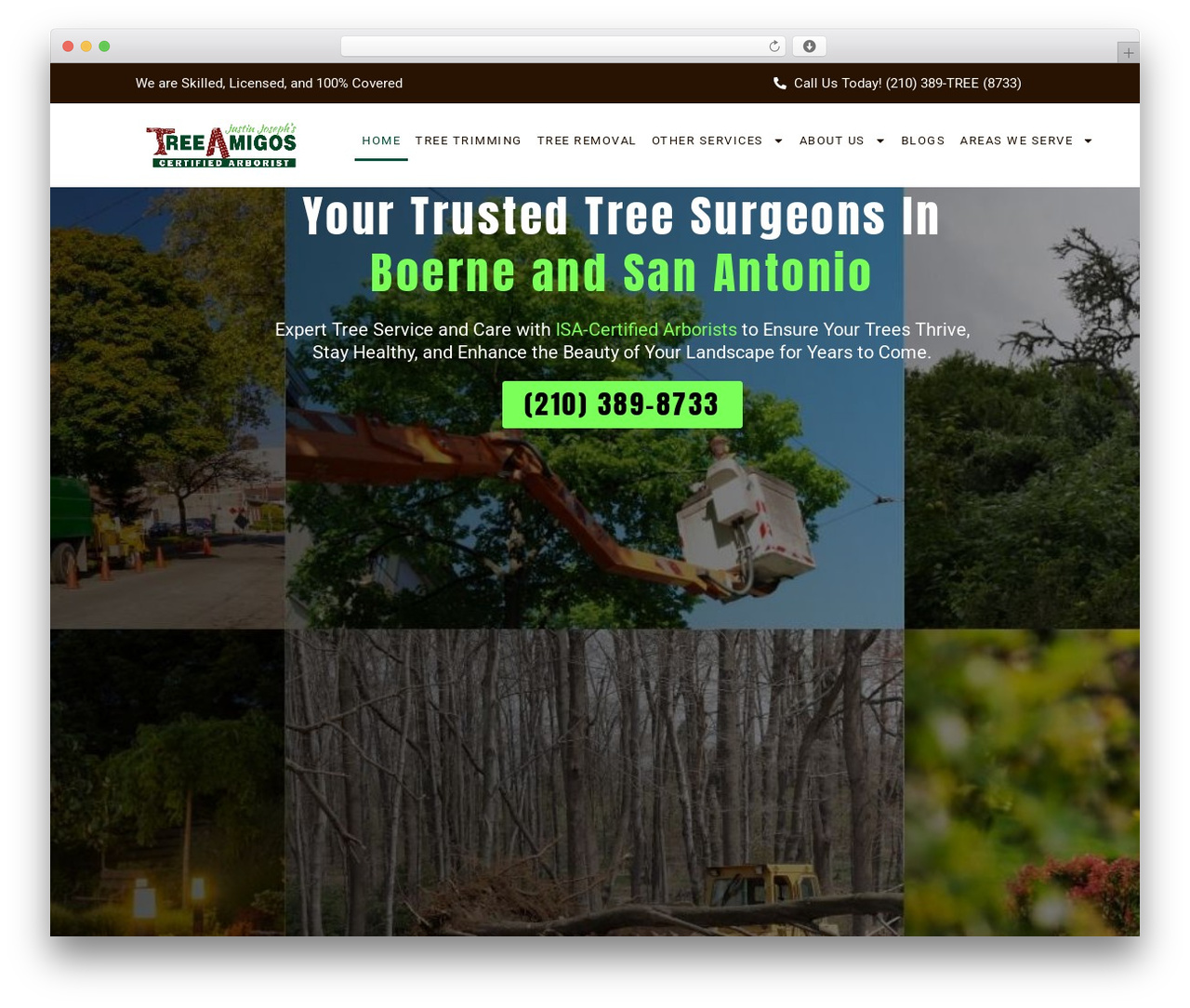 Optimizer PRO WordPress theme - treeamigos-satx.com Optimizer PRO WordPress theme - treeamigos-satx.com