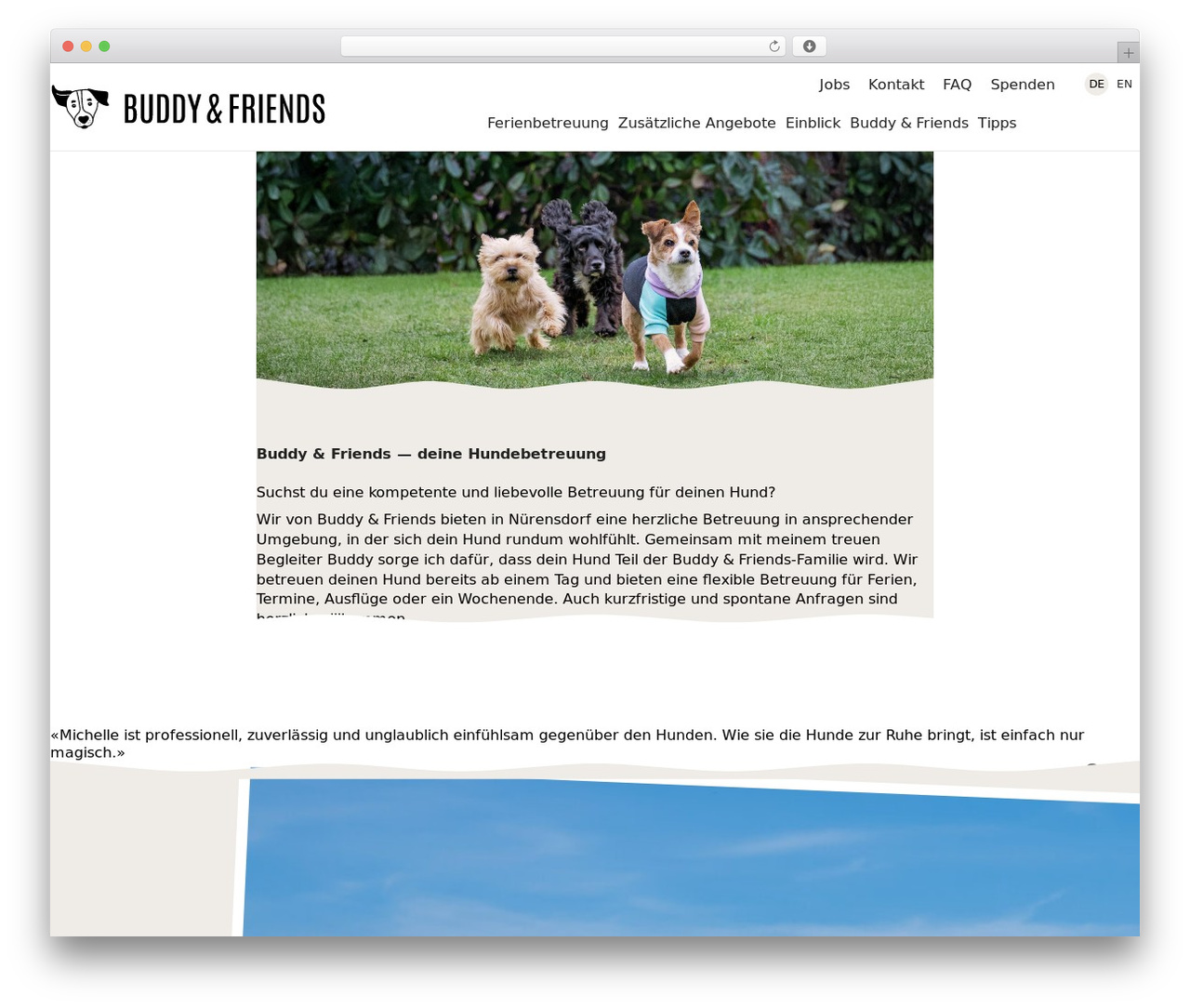 Studio WordPress theme - buddy-friends.ch