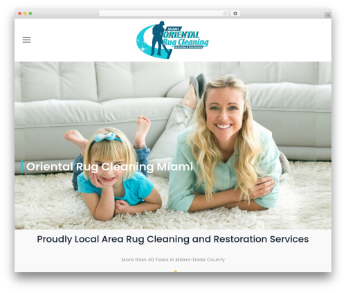 Themetechmount boldman extras WordPress plugin - orientalrugcleaningmiami.com