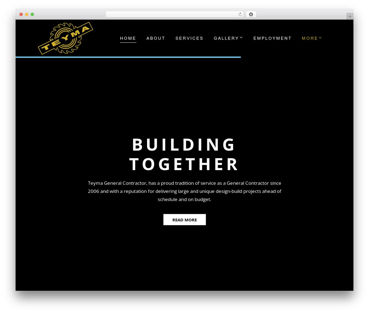 Webion WordPress theme - teymaus.com