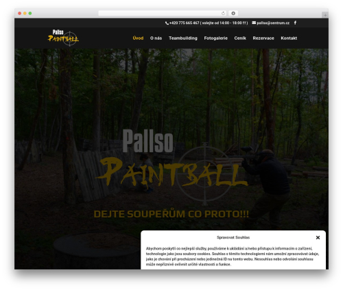 WordPress theme Divi - pallso.com