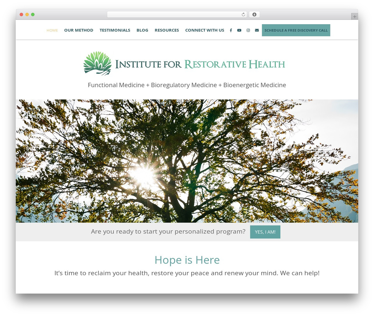WP theme Nectar - instituteforrestorativehealth.com